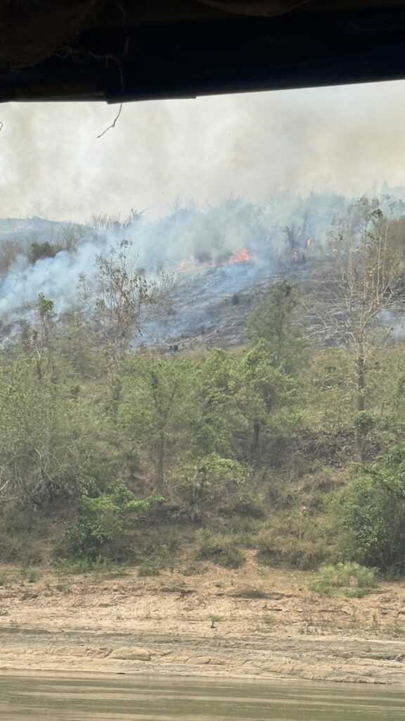 Feuer Mekong