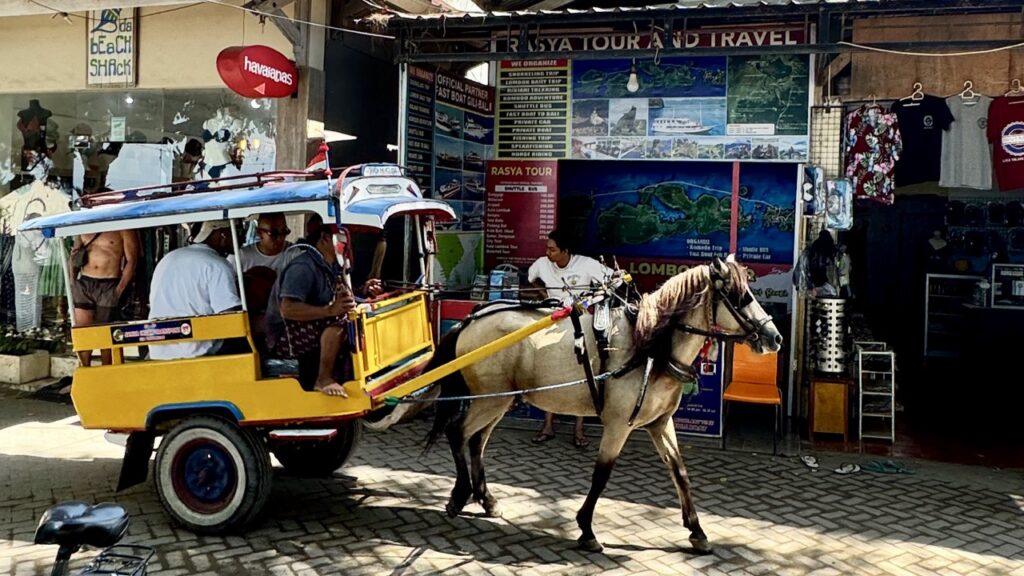 Gili Trawangan Pferdekutsche