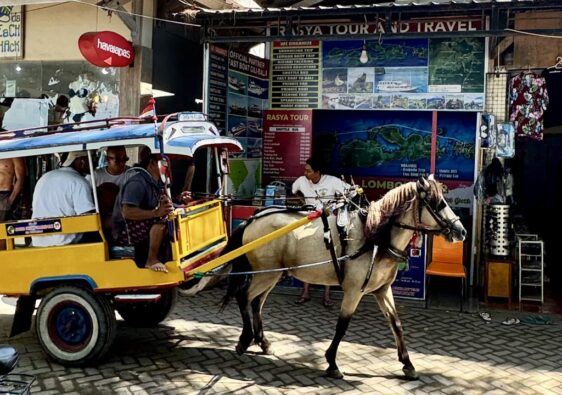 Gili Trawangan Pferdekutsche