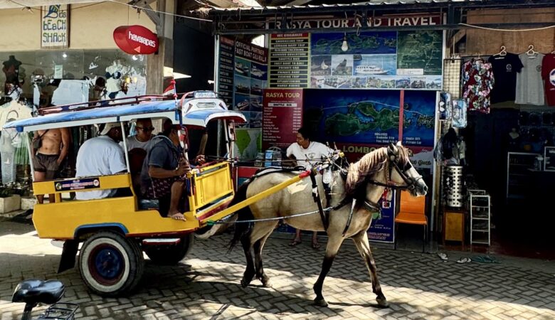 Gili Trawangan Pferdekutsche