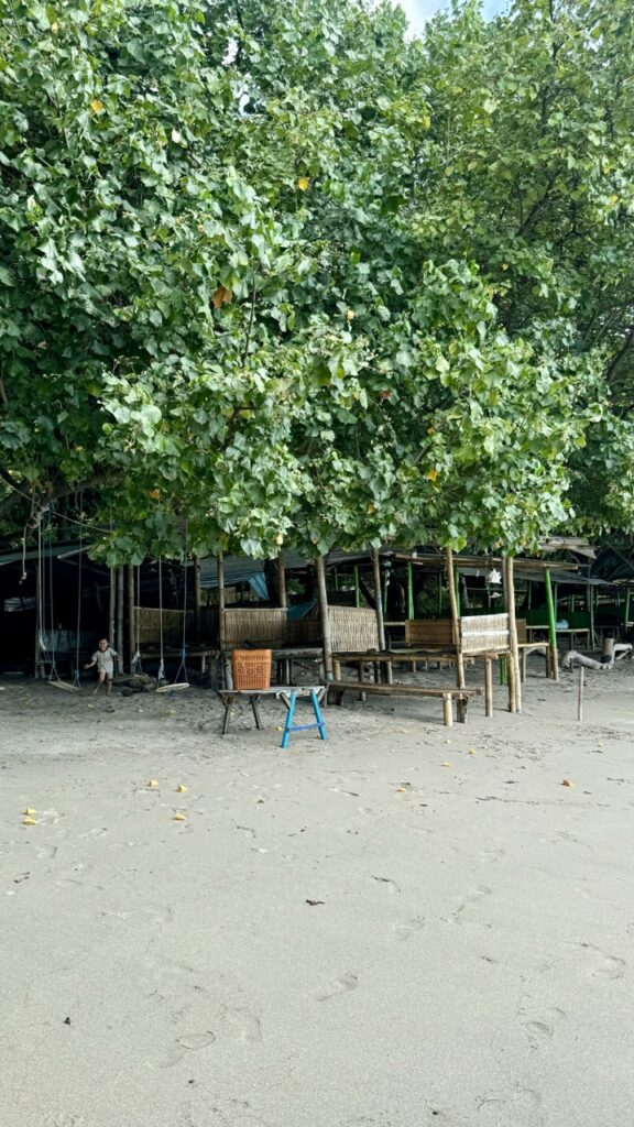 beach senggigi area