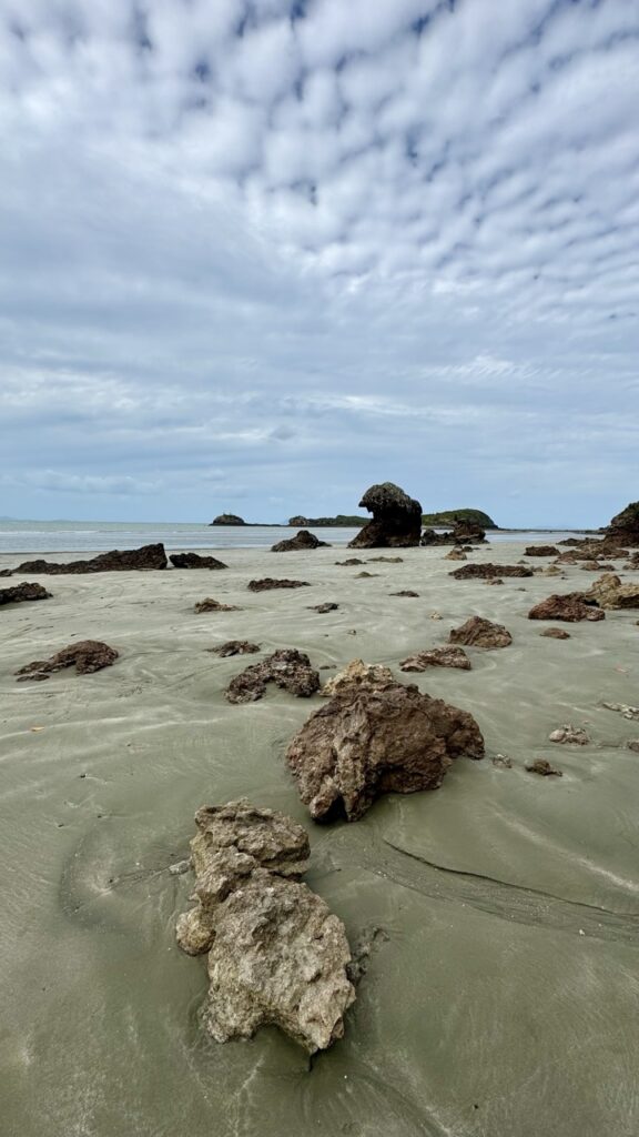 Hillsborough Beach