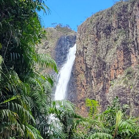 Tablelands – Wasserfälle und Würgefeigen