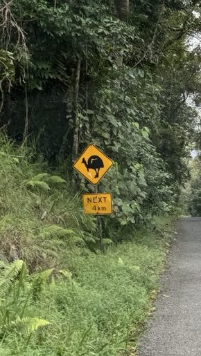 Cassowary schild