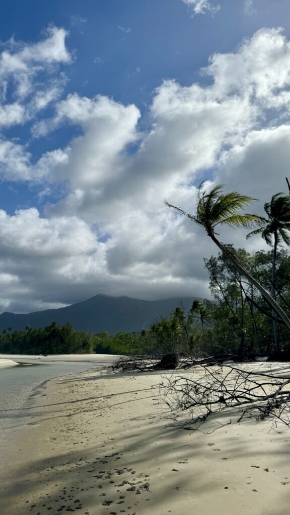 cape tribulation strand