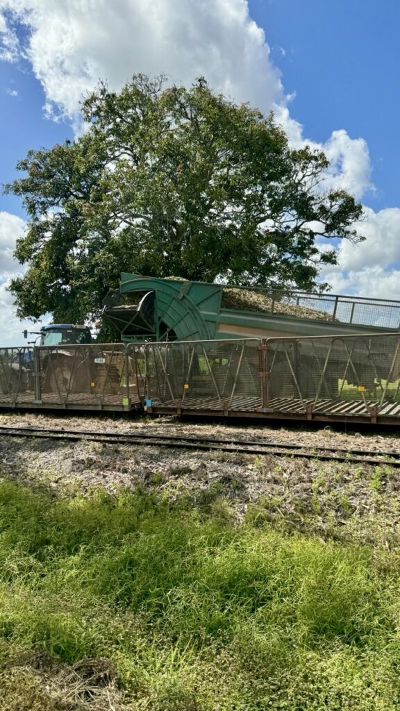 sugar cane train