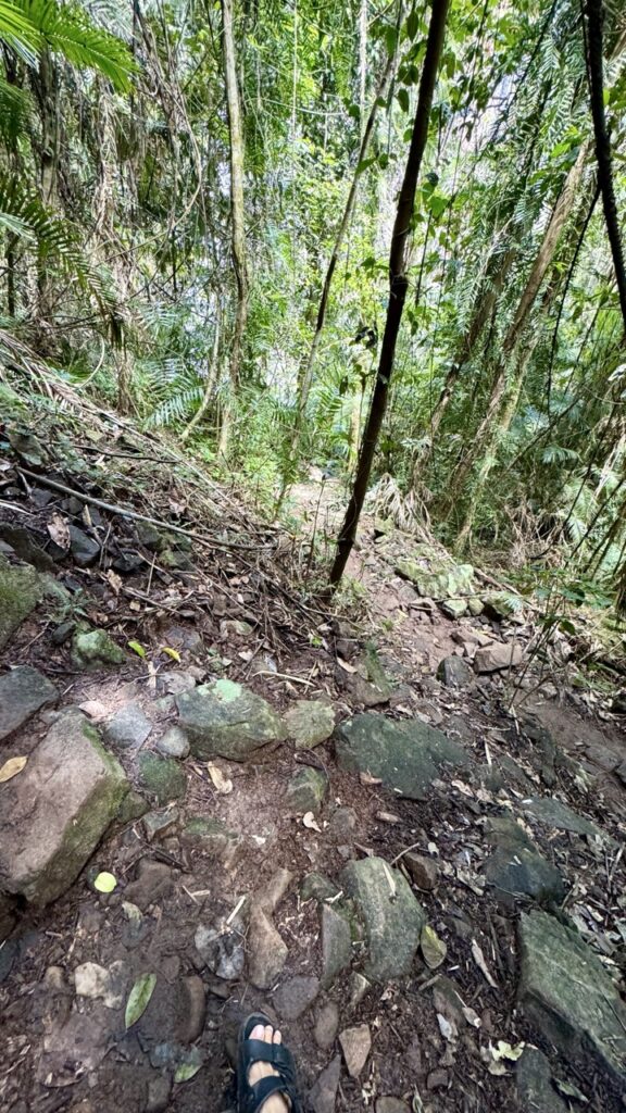  wallaman fall trail