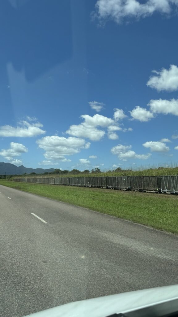 sugar cane train