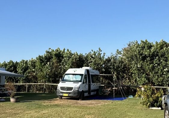 Stellplatz EMu Park