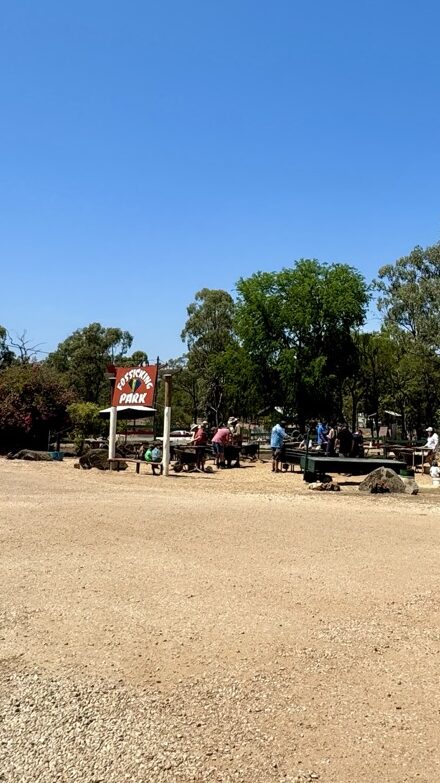 fossicking area