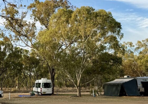 jericho showground