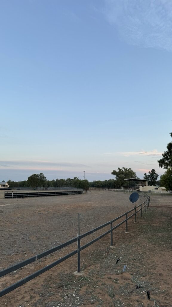 jericho showground rodeo