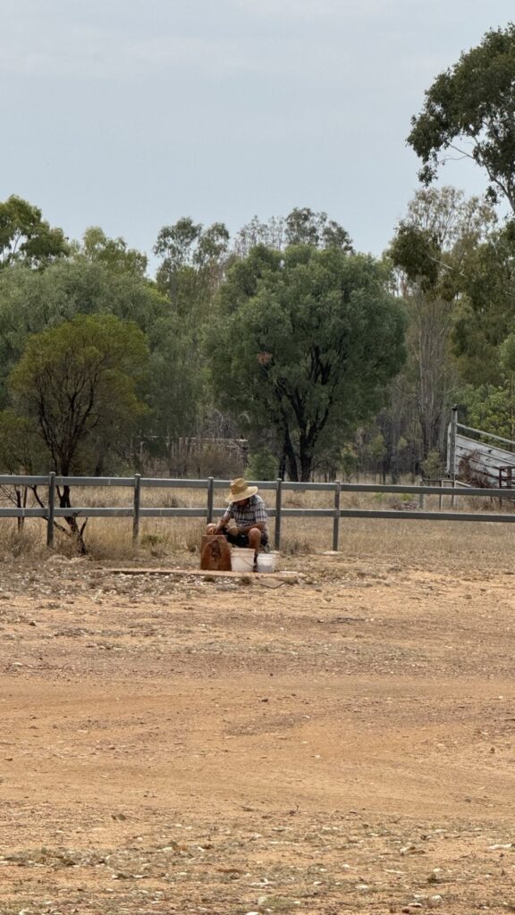 jericho showground nachbar