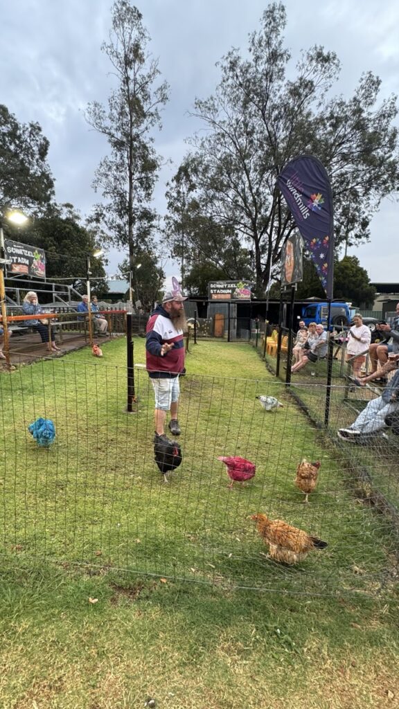 ben und bunte chicken race hühner