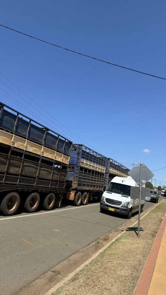 Camper neben roadtrain