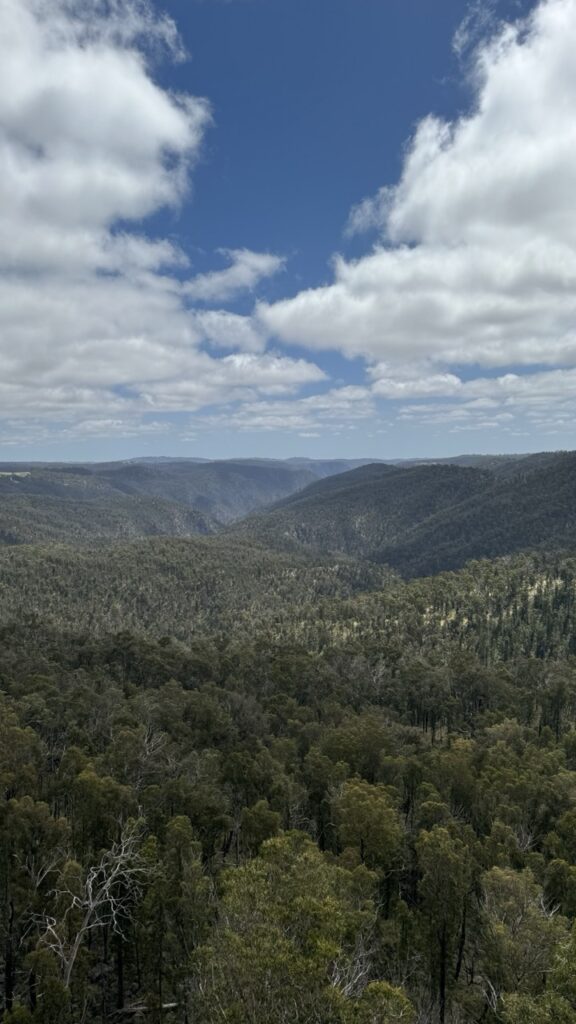 ausblick ebor falls