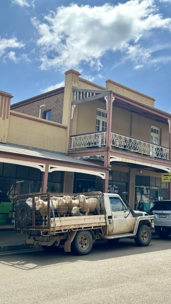 gulgong