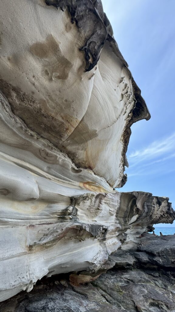 coastal walk sydney