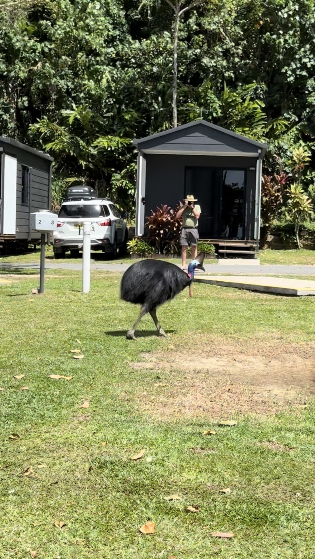 cassowary etty beach campground