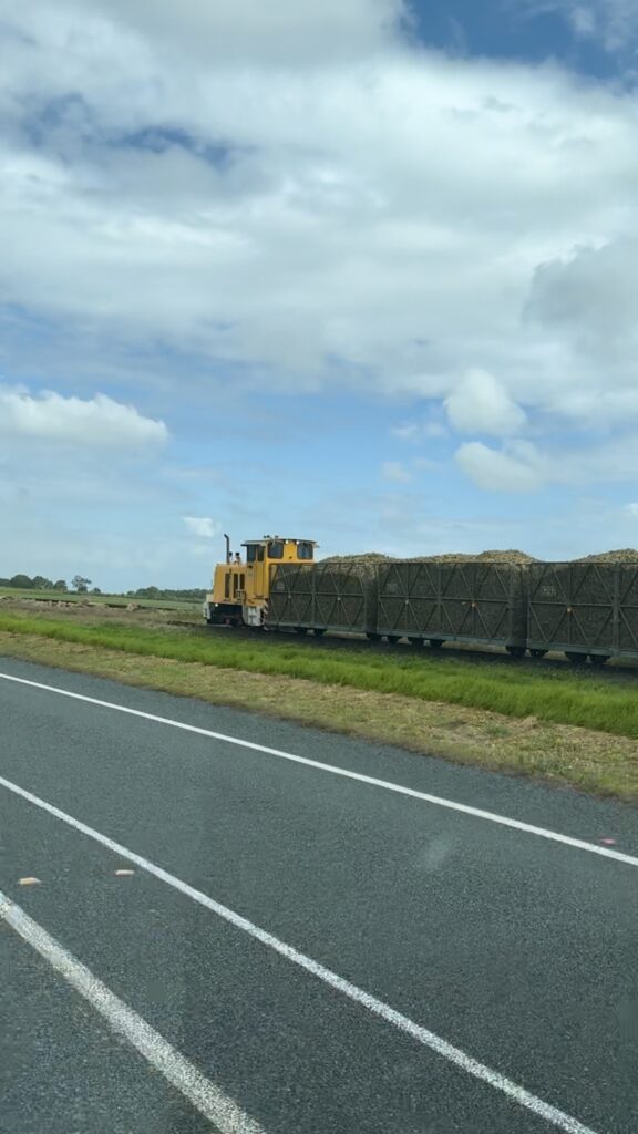 sugar cane train