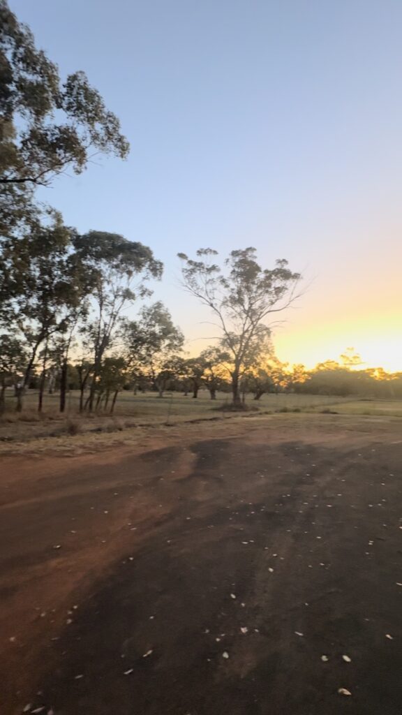 morven showground sunset