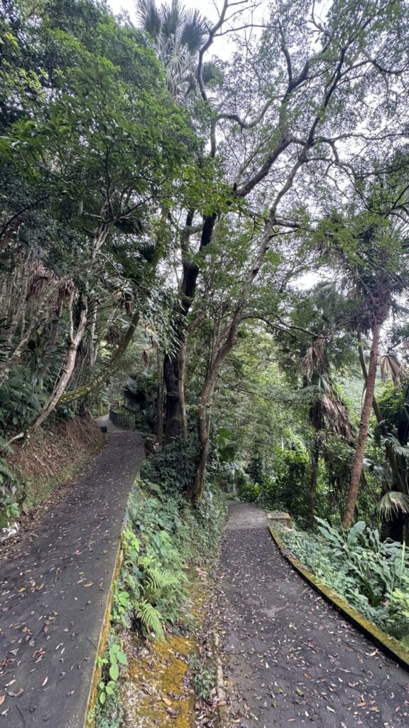 walk von victoria peak in die stadt