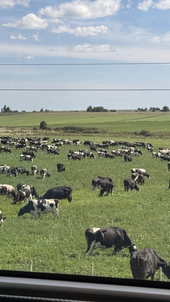 landschaft uruguay