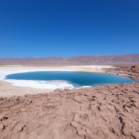 Mendozda – nicht die Südsteiermark Argentiniens