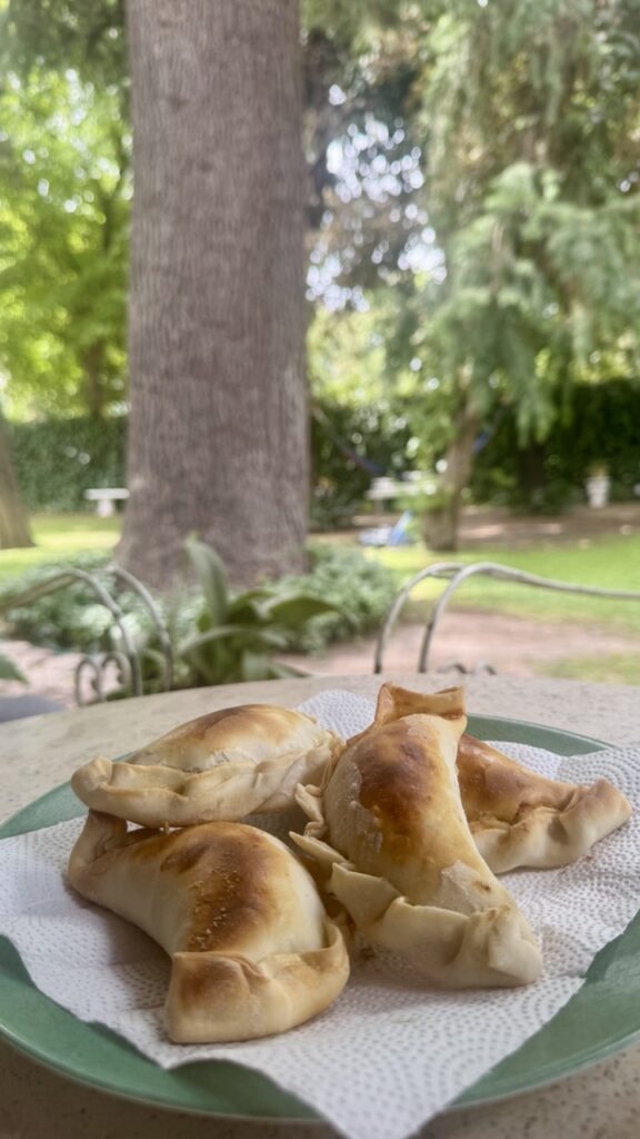 empanadas von marcela