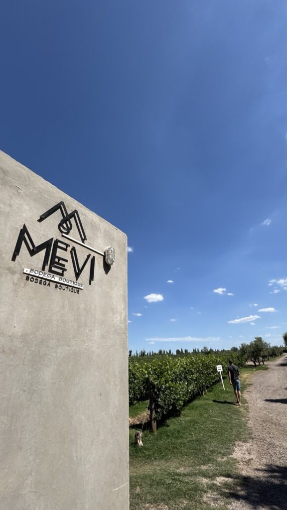 bodega mevi